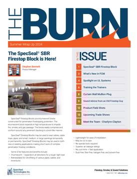 The Burn - Summer Wrap Up 2024-1_Page_1